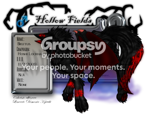 User Image